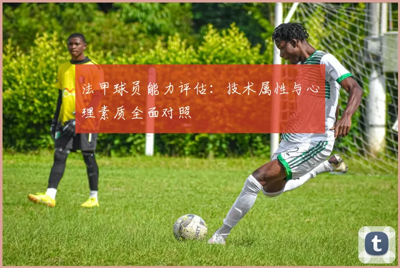 法甲球员能力评估：技术属性与心理素质全面对照