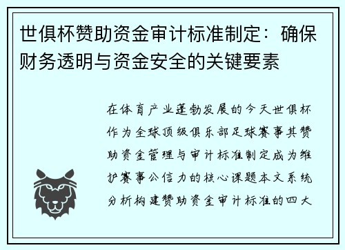 世俱杯赞助资金审计标准制定：确保财务透明与资金安全的关键要素