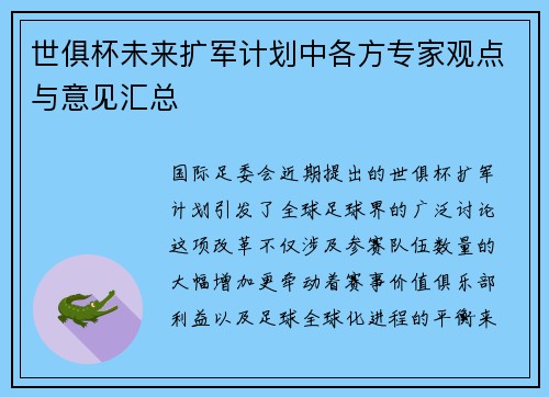 世俱杯未来扩军计划中各方专家观点与意见汇总